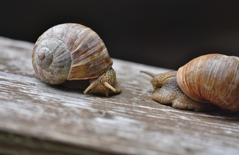 フリーランスが案件を成功させるために知っておくべき重要なことは？